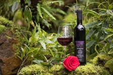Dopřejte si romantický večer v doprovodu vín z vinice sv. Kláry
